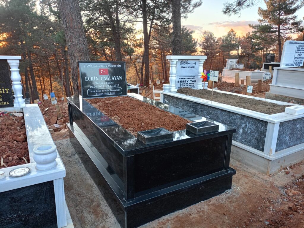 GRNMZ020